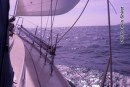 Fab sailing Dartmouth to Salcombe