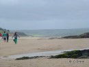 A bit of wind, battling flying sands on the Camel Estuary