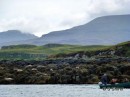 The seals at Dunvegan and one of the tripper boats from Dunvegan Castle