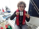 A different kind of cream tea, sailing to Lundy island, Bristol Channel