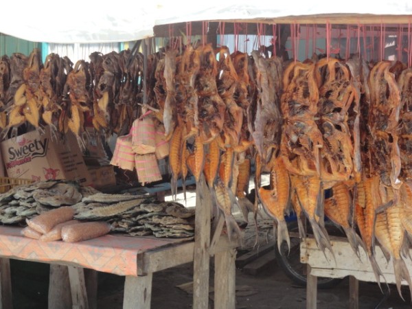 Dried fish at a stall in Derawan.