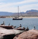 At anchor in El Gato with the pelicans