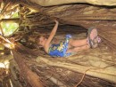 Climbing a banyan tree from the inside