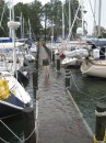 Friday morning at Fishing Bay - the docks are awash with water