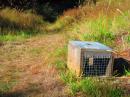 Traps like these are seen all over the South Island for stoats, rats and possums