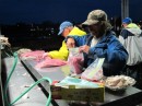 Fishermen cleaning the catch