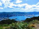 View of Wellington harbour