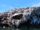 The sky and cliffs are filled with birds