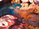 The colors were amazing - blue water and pink encrusting corals