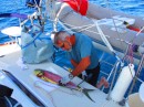 Ted filleting on the aft deck
