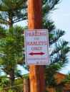 "Parking for Harleys only - violators will be shot" - I guess that makes the vultures happy?!