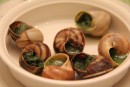 Snails, a family favourite