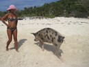 Polka dot matching pig and bikini!