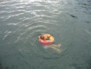 IMG_1720_1_1: Little girl in a tube, Isla Grande