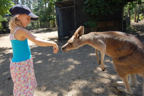 Kara gets close with the kangaroos, animal farm Batemans Bay