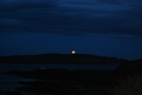 Amazing moonlight, Curio Bay