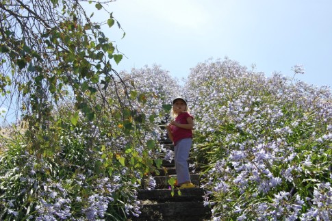 Kara almost at the top of Looking Glass Garden