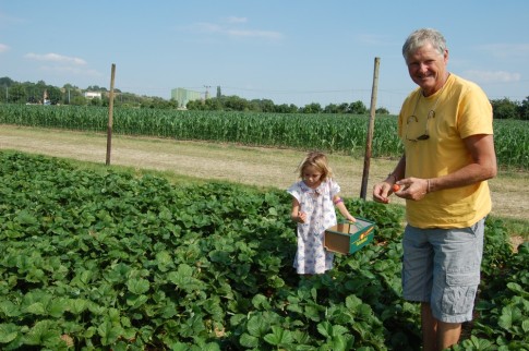 Picking strawberries in summer is one of our favorite things to do in Germany