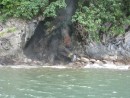 Near our boat, you can see the steam from the rocks, which had boiling hot water