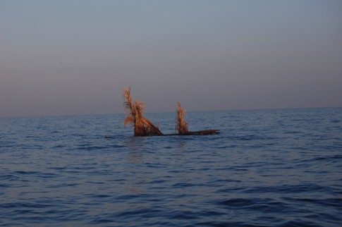 Here is one of the many fish traps abundant in these waters, at night time its just tough luck if you run into one of them