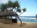 hut at the beach