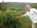 Galapagos endemic Miconia plant and forester Bill