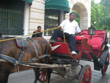 Horse and cart Cartagena