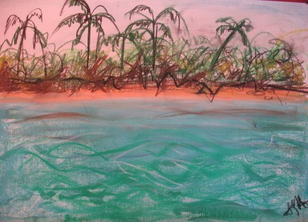 Cocos - acrylic,pastel on paper           $250
380X570mm unframed
