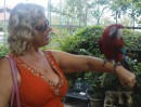 Linda and south american bird Sentosa