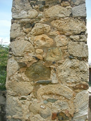 rock wall incorporating coral