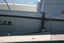 A "dock" iguana ventures onto a big boat