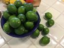 And our limes from one tree.  Still more to pick.