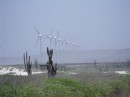 All the islands in the Netherlands Antilles use wind turbines