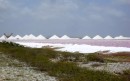 Salt ponds - flamingoes feed in these areas