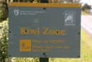 2) As soon as we got off the ferry and started up the road, we saw our first "Kiwi Zone" sign.  I was really excited, but have since found out it is very rare to really see a kiwi in the wild.