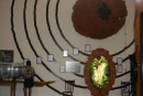 2) The rings on the wall show the size of the known kauri tree in New Zealand.  Starting from the inside, there is a cut from a fallen tree, then another living tree a little bigger, then Tane Mohuta (tallest living kauri), then Tane Ngahere (biggest living kauri - around).  The last two rings are from trees that have fallen for one reason or another, but were even bigger than the two giants we saw!  Hard to imagine!  We should mention, however, that kauri are not as big as our Ca sequoia trees!