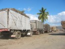 Trucks and trucks of sugar cane head to the refinery in Lautoka every day.