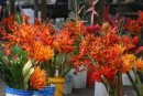I loved the flower section of the Suva market!