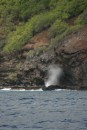A very pretty blow hole right by where we anchored.