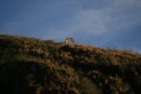 A wild horse on the hill overlooking the anchorage in Baie Hanamoenoa on Tahuata.  