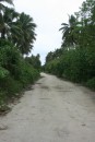 The "I-5" of Niuatoputapu!  A two mile walk down this road takes you from the wharf to Hihifo, the capitol village.