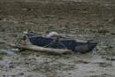 So much depends on the old wooden canoe!  You can see the fishing net that gets used daily.