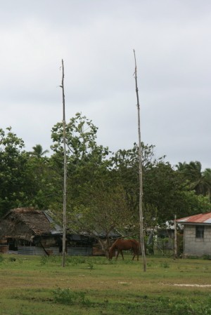 The local rugby/soccer field.  They used really tall trees to mark the goal.  The field is shared by tons of pigs!