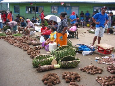 Part of the vegetable market in Apia.  The Samoans LOVE their taro!