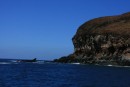 Seal rock on Socorro Island.  Mama humpbacks would bring there babies just inside this rock for jumping practice!