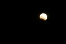 Lunar eclipse at Isla Isabela!  It was so clear and beautiful being so far from any other lights.