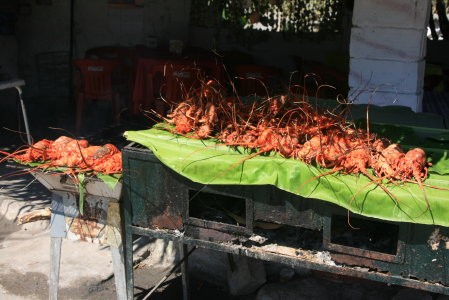 Lobsters on the bar- bie!  They were selling for 50 pesos ($5.00).  We didn