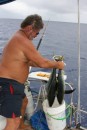 A yummy pair of yellow fin tunas - we each brought one on board!
Right outside of Beveridge Reef.