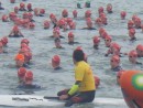 Auckland Harbor Swim, 4000 Kiwis strong!