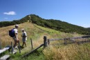 Hiking in the Bay of Islands